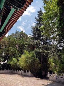 Kunming - Universite du Yunnan (29)